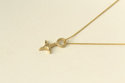 Asteri Pendant